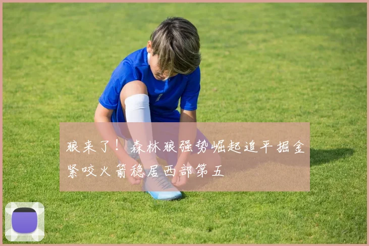 狼来了！森林狼强势崛起追平掘金紧咬火箭稳居西部第五
