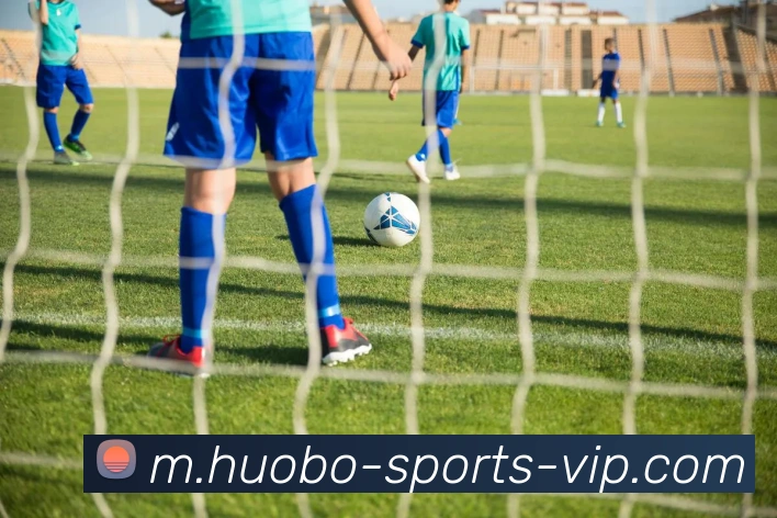 火博体育APP 封面图